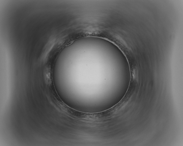 X0000111611396200907241000