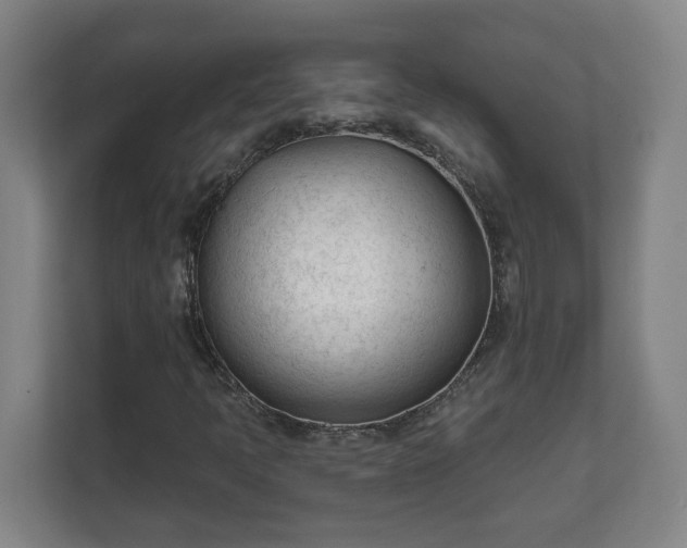 X0000111611397200907241000