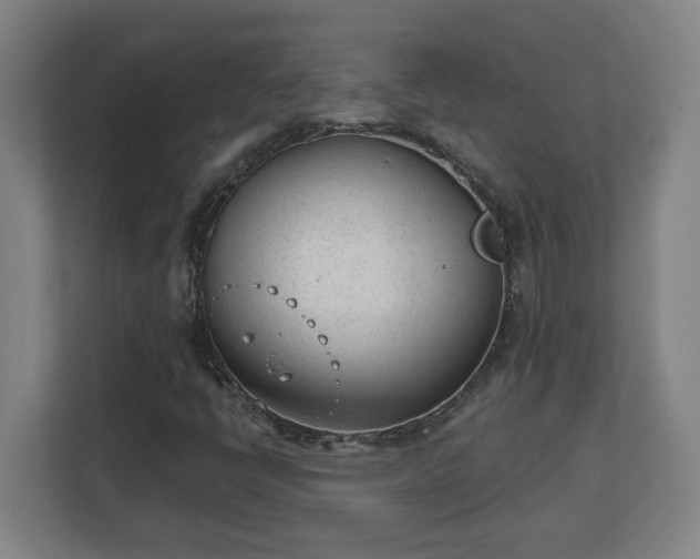 X0000111611398200907241000