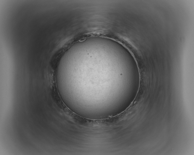 X0000111611399200907241000
