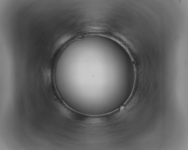X0000111611402200907241000