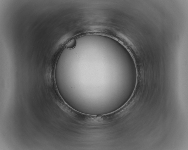 X0000111611403200907241000