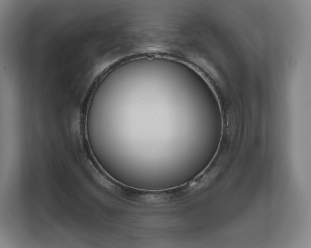 X0000111611404200907241000