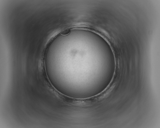 X0000111611405200907241000
