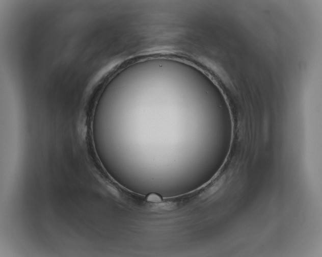 X0000111611406200907241000