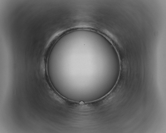 X0000111611408200907241000