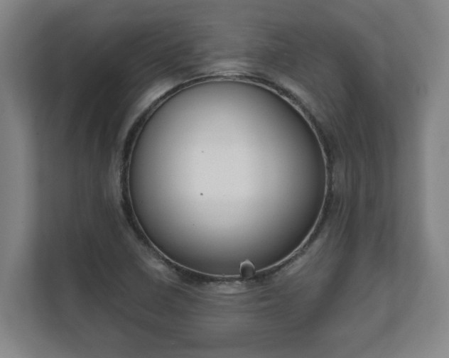 X0000111611410200907241000