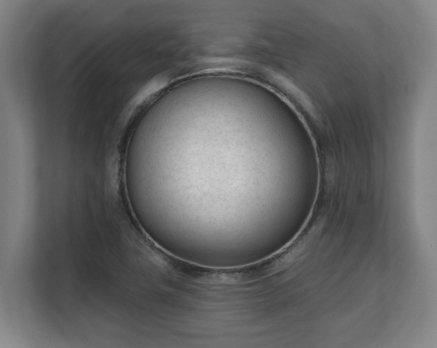 X0000111611411200907241000