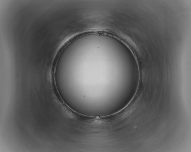 X0000111611412200907241000
