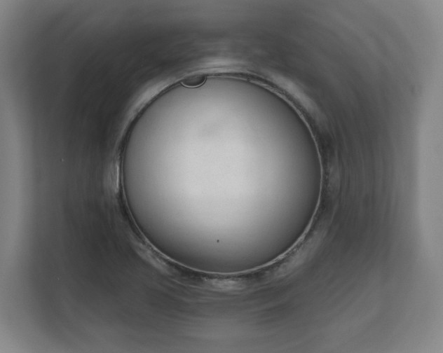 X0000111611413200907241000