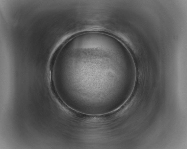 X0000111611414200907241000