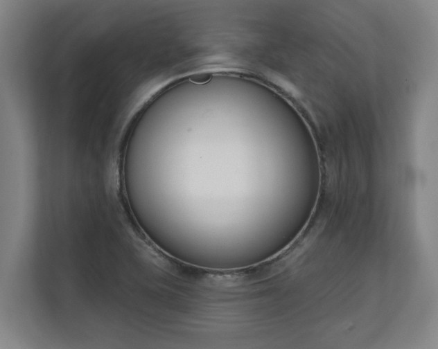 X0000111611415200907241000
