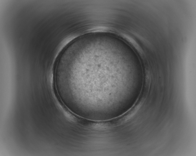 X0000111611418200907241000