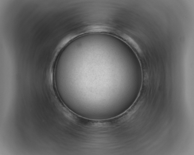 X0000111611419200907241000