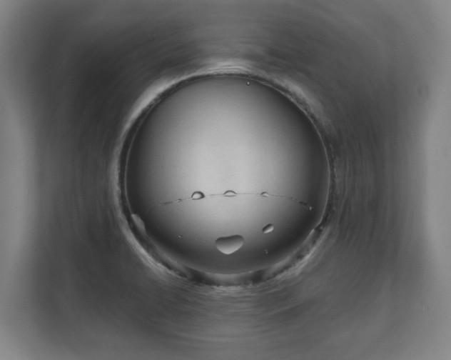 X0000111611422200907241000