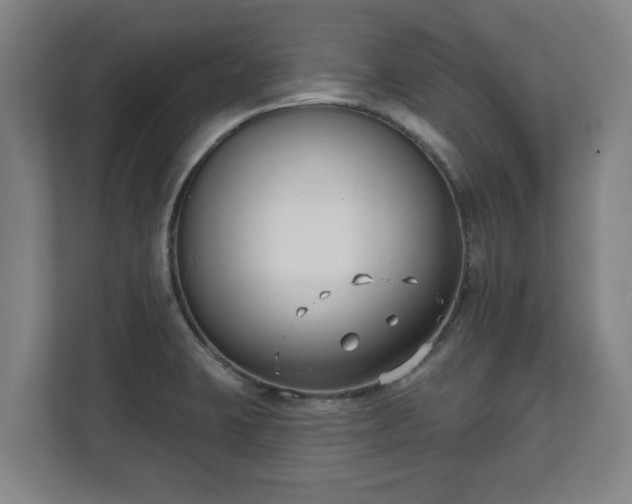 X0000111611423200907241000