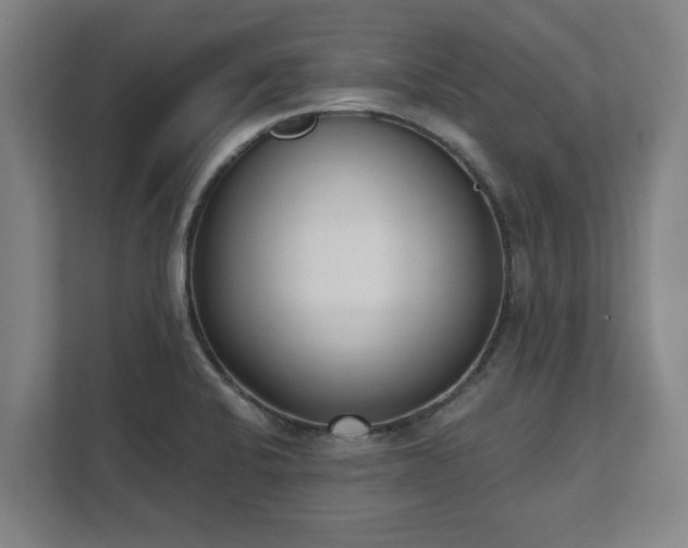 X0000111611424200907241000