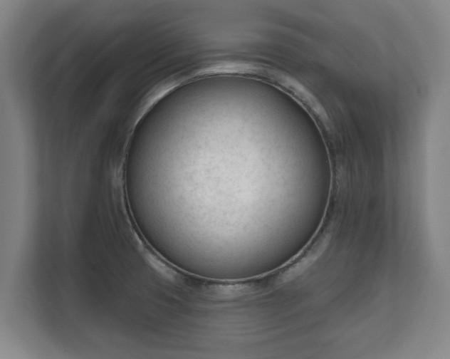 X0000111611425200907241000