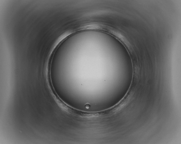 X0000111611426200907241000