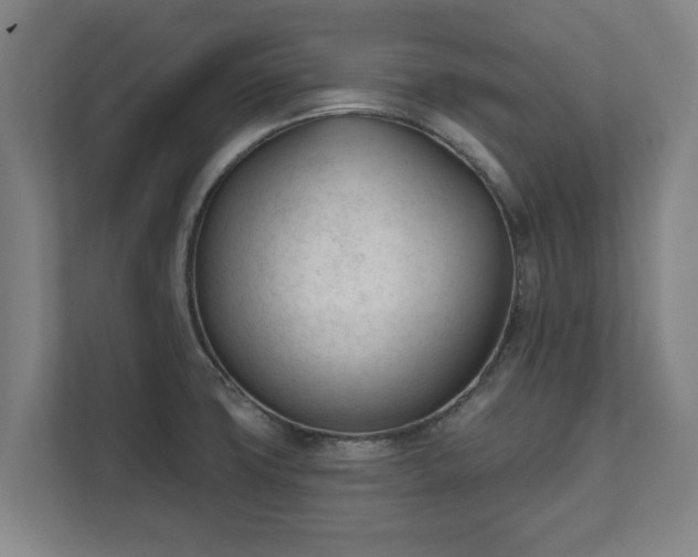 X0000111611427200907241000