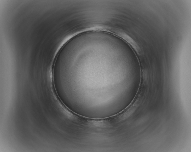 X0000111611428200907241000