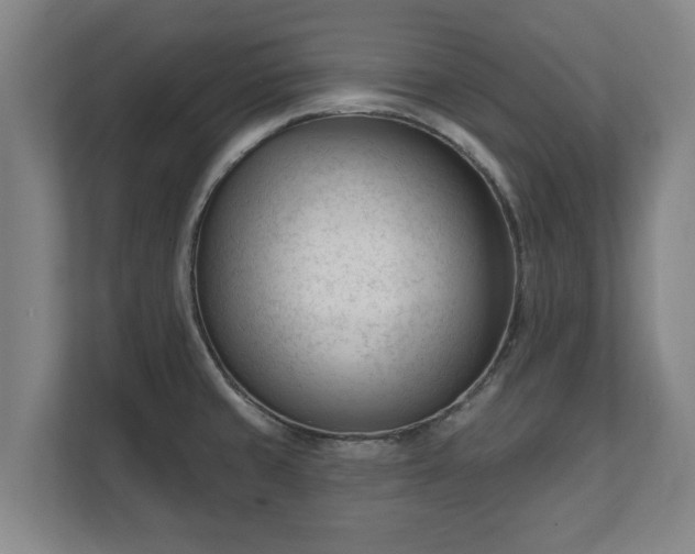 X0000111611429200907241000