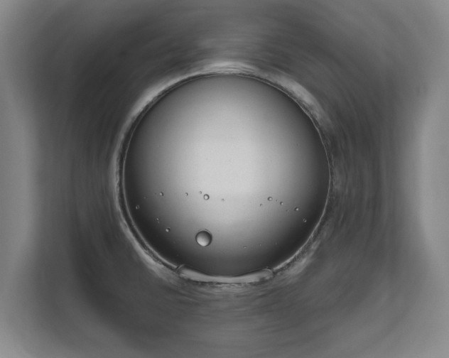 X0000111611430200907241000
