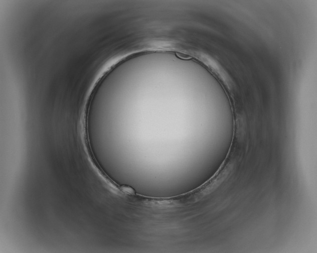 X0000111611432200907241000