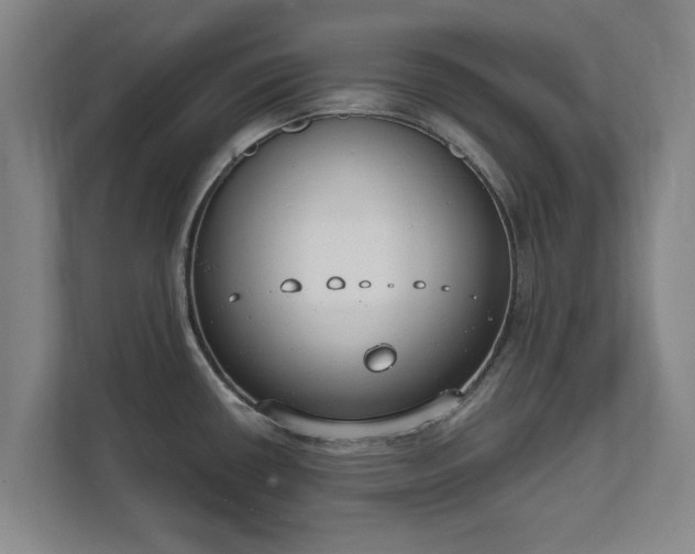 X0000111611434200907241000