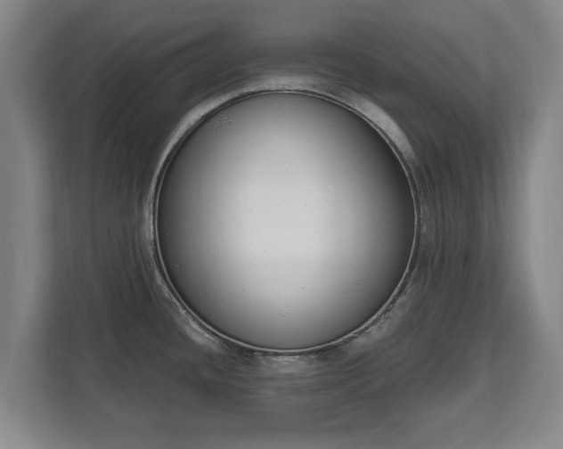 X0000111611436200907241000
