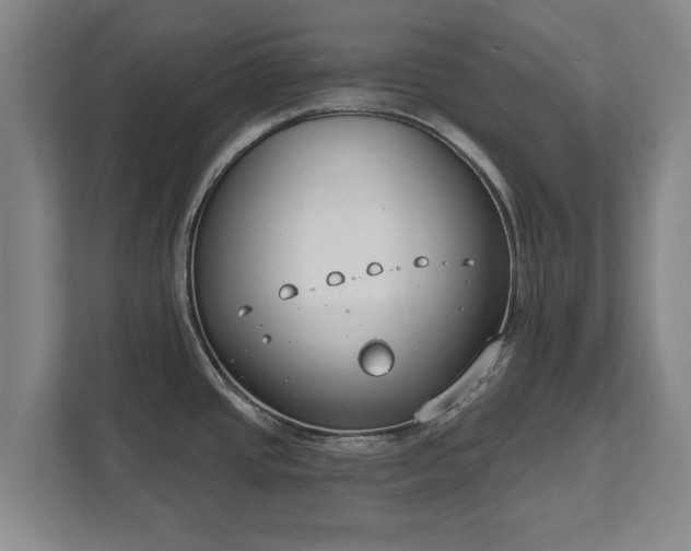 X0000111611437200907241000