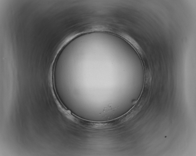 X0000111611439200907241000