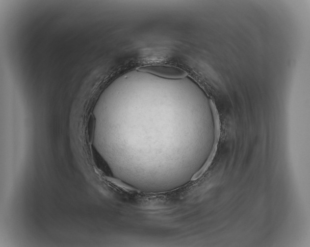 X0000111611441200907241000