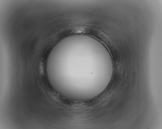 X0000111611442200907241000