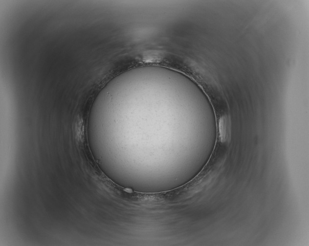 X0000111611443200907241000