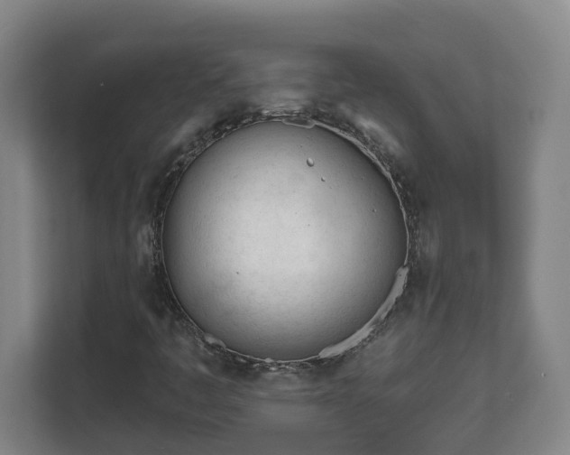 X0000111611445200907241000