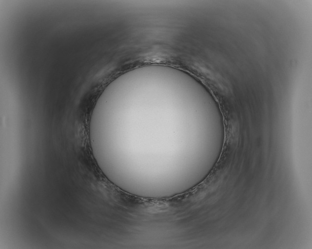 X0000111611446200907241000