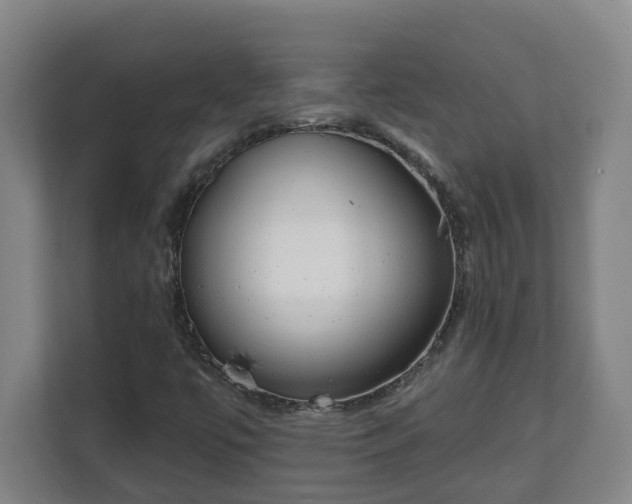 X0000111611447200907241000