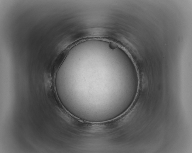 X0000111611449200907241000