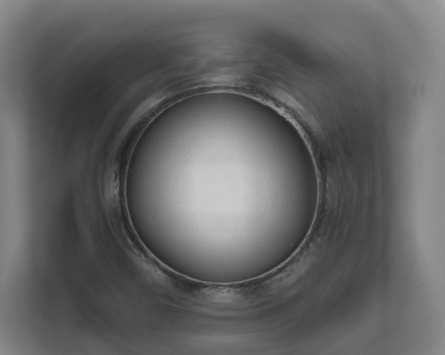 X0000111611450200907241000