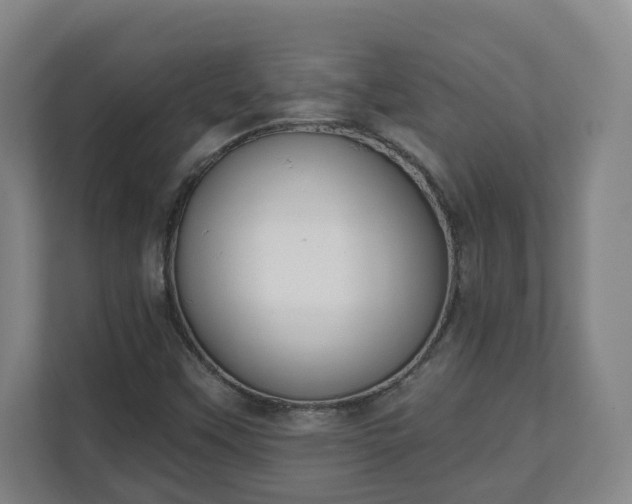 X0000111611451200907241000