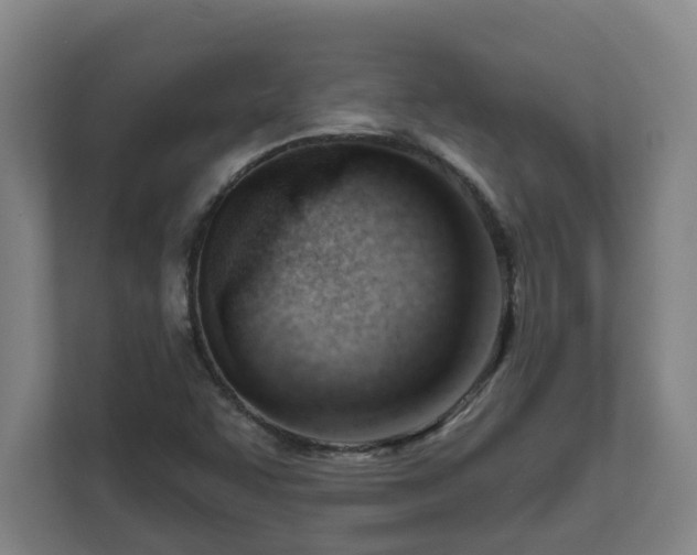 X0000111611455200907241000