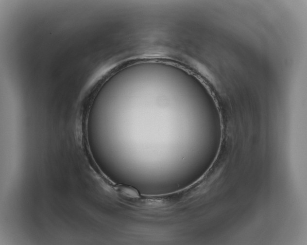 X0000111611456200907241000