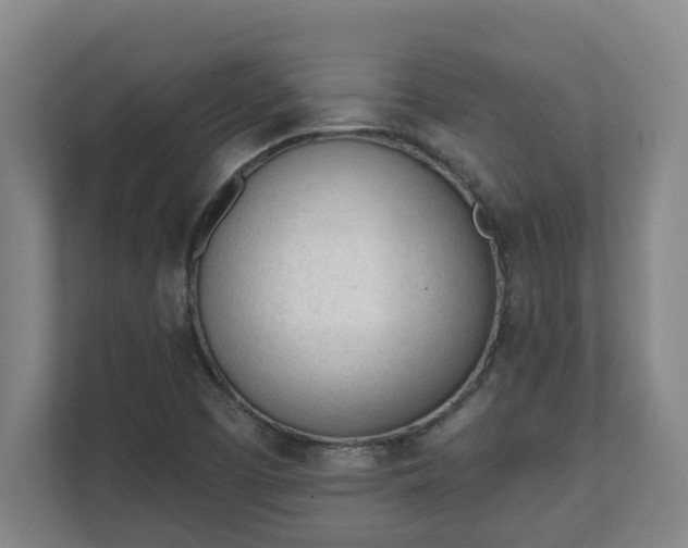 X0000111611457200907241000