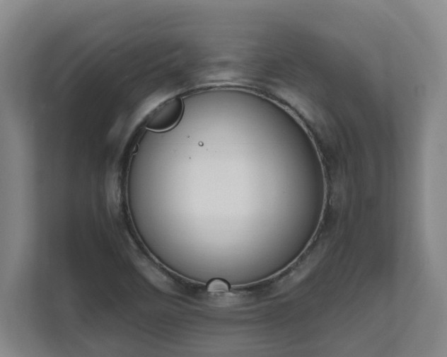 X0000111611458200907241000