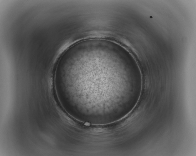 X0000111611459200907241000