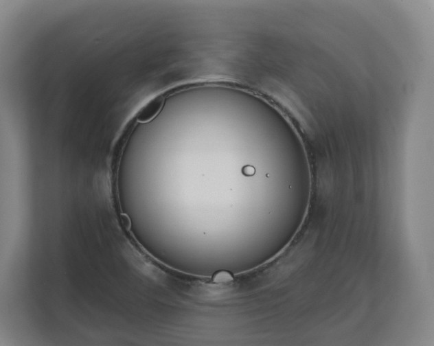 X0000111611460200907241000