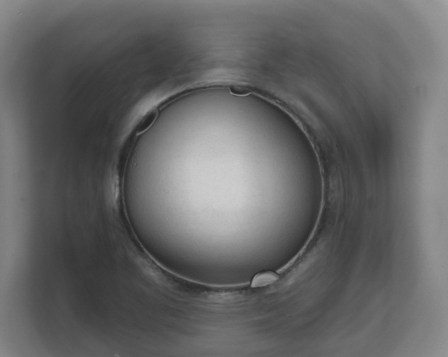 X0000111611461200907241000
