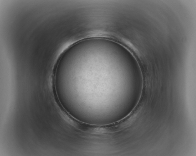 X0000111611463200907241000