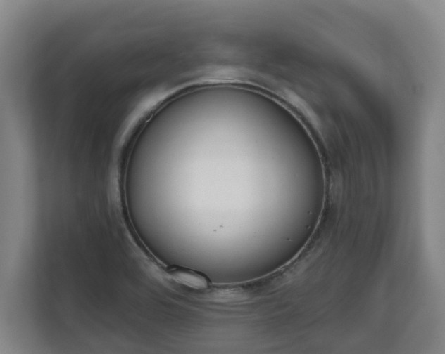 X0000111611464200907240959
